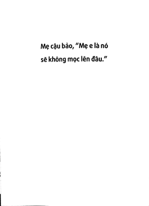 hạt giống cà rốt - Ảnh 5