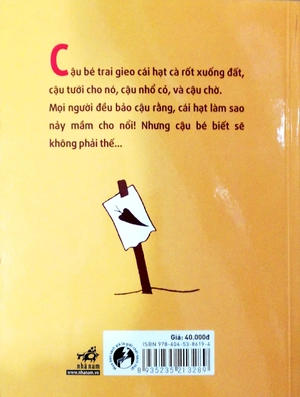 hạt giống cà rốt - Ảnh 6