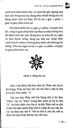 hạt giống nảy mầm - thiền - Ảnh 9