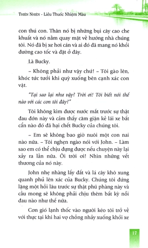hạt giống tâm hồn - thiên nhiên liều thuốc nhiệm màu - Ảnh 10