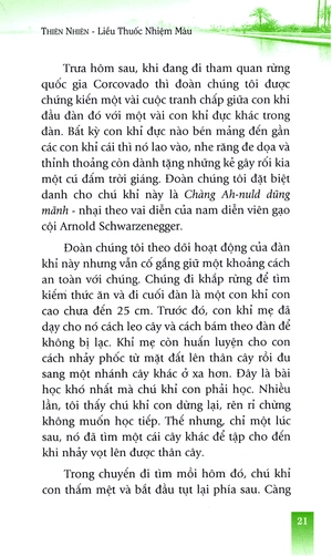 hạt giống tâm hồn - thiên nhiên liều thuốc nhiệm màu - Ảnh 14