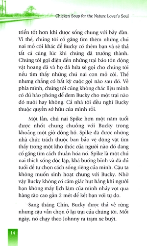 hạt giống tâm hồn - thiên nhiên liều thuốc nhiệm màu - Ảnh 7