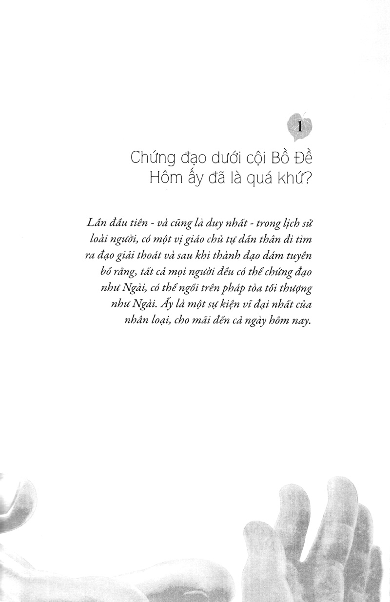 hạt nắng bồ đề - Ảnh 2