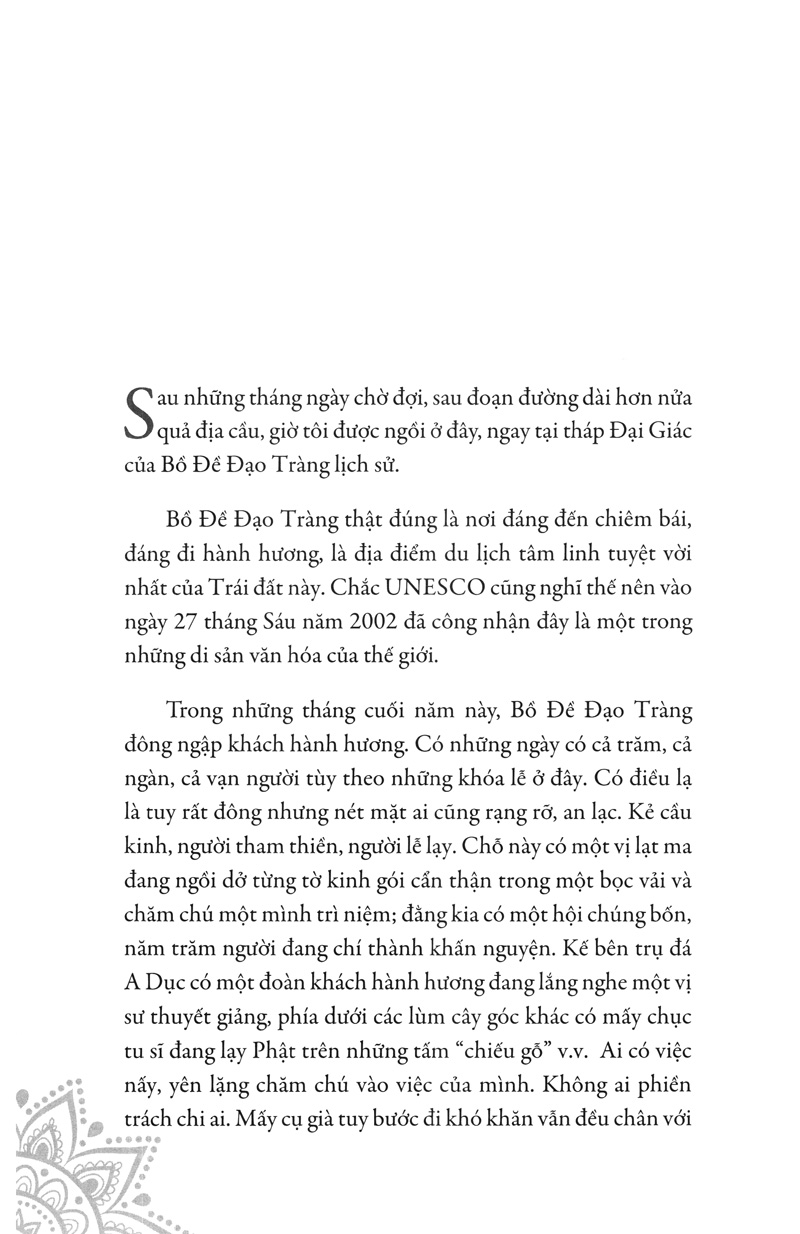 hạt nắng bồ đề - Ảnh 3