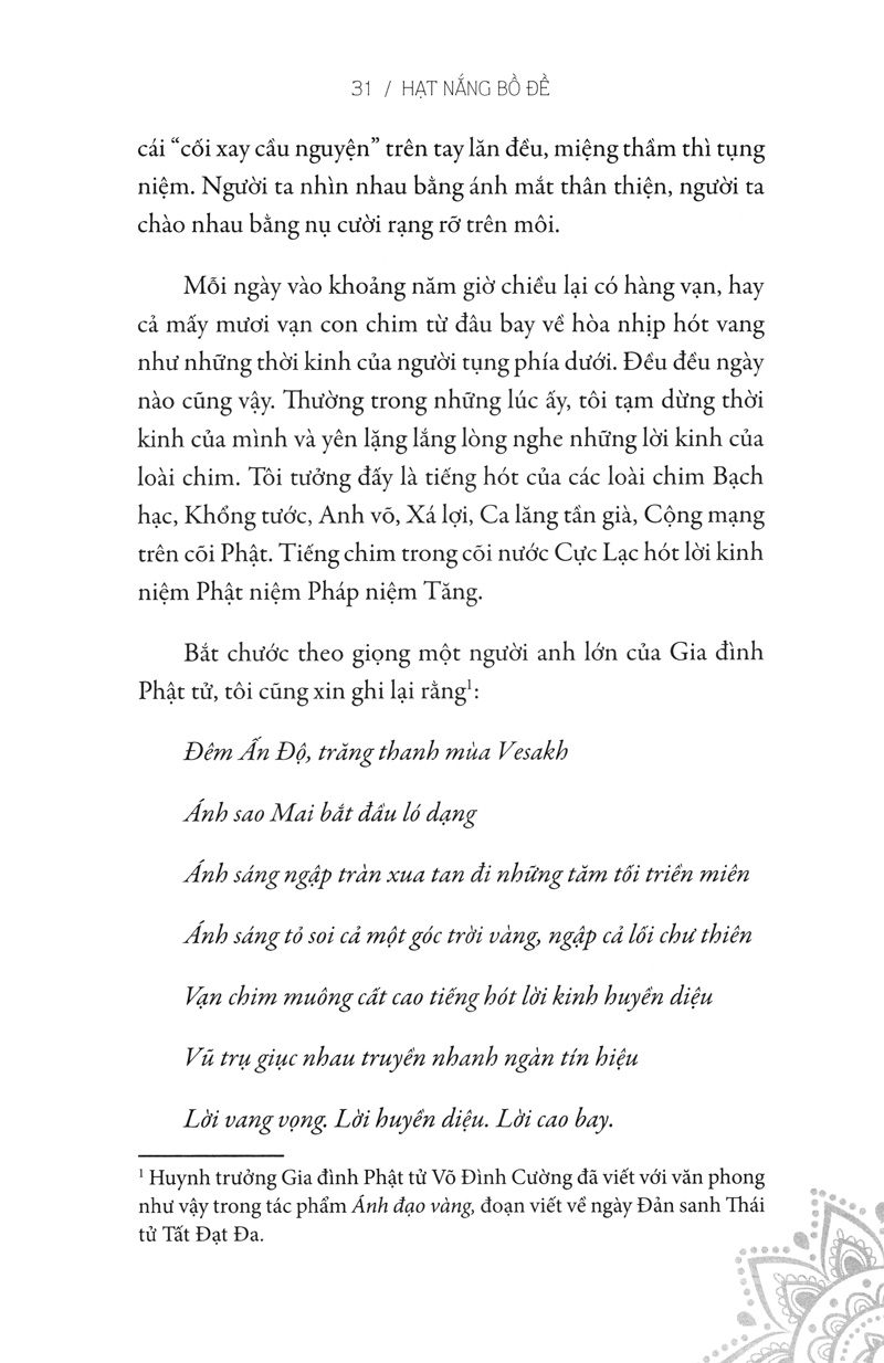 hạt nắng bồ đề - Ảnh 4