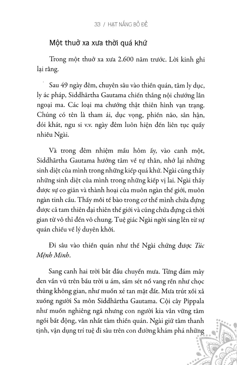hạt nắng bồ đề - Ảnh 6