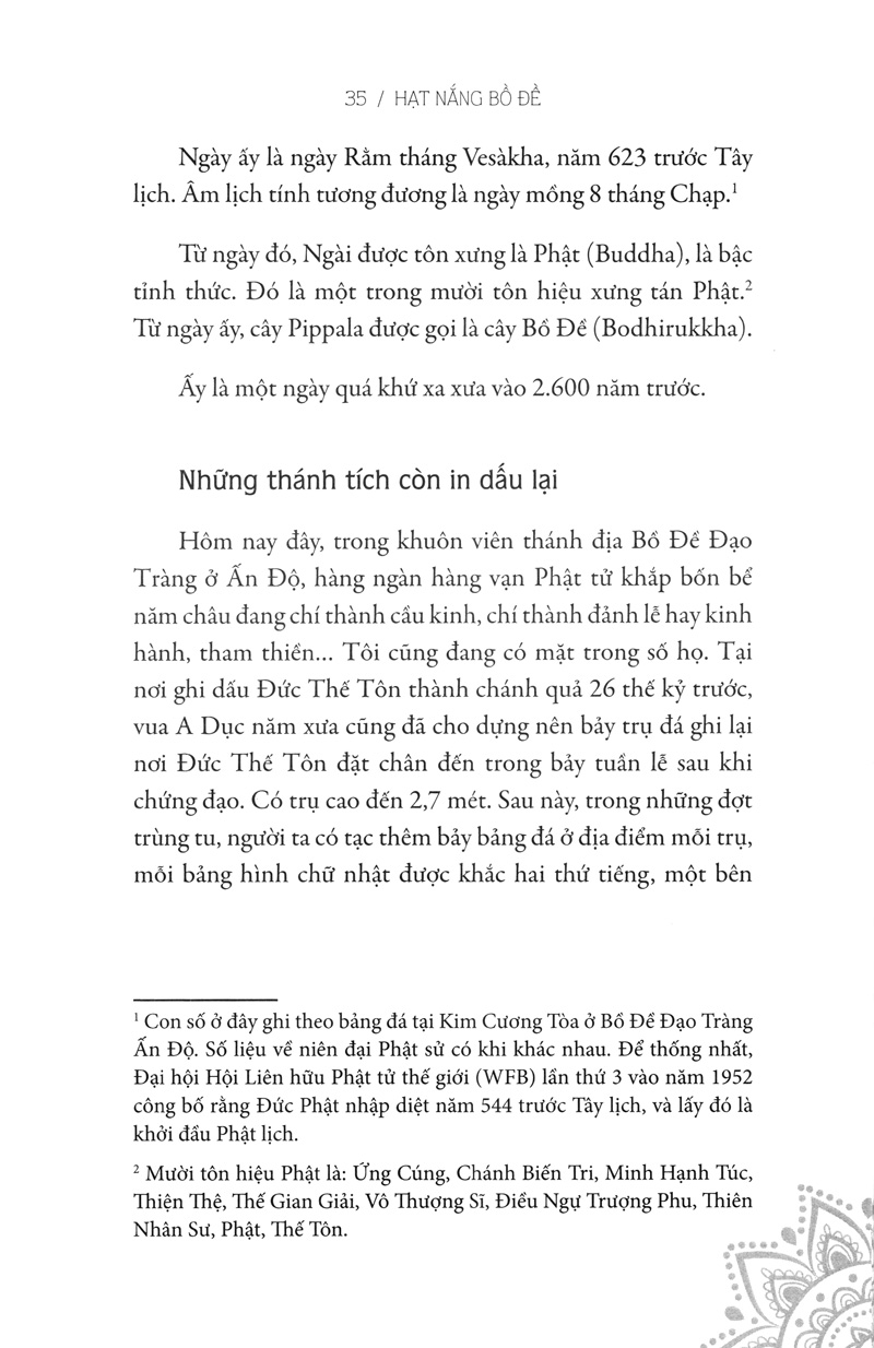 hạt nắng bồ đề - Ảnh 8