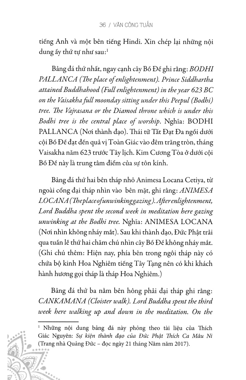 hạt nắng bồ đề - Ảnh 9