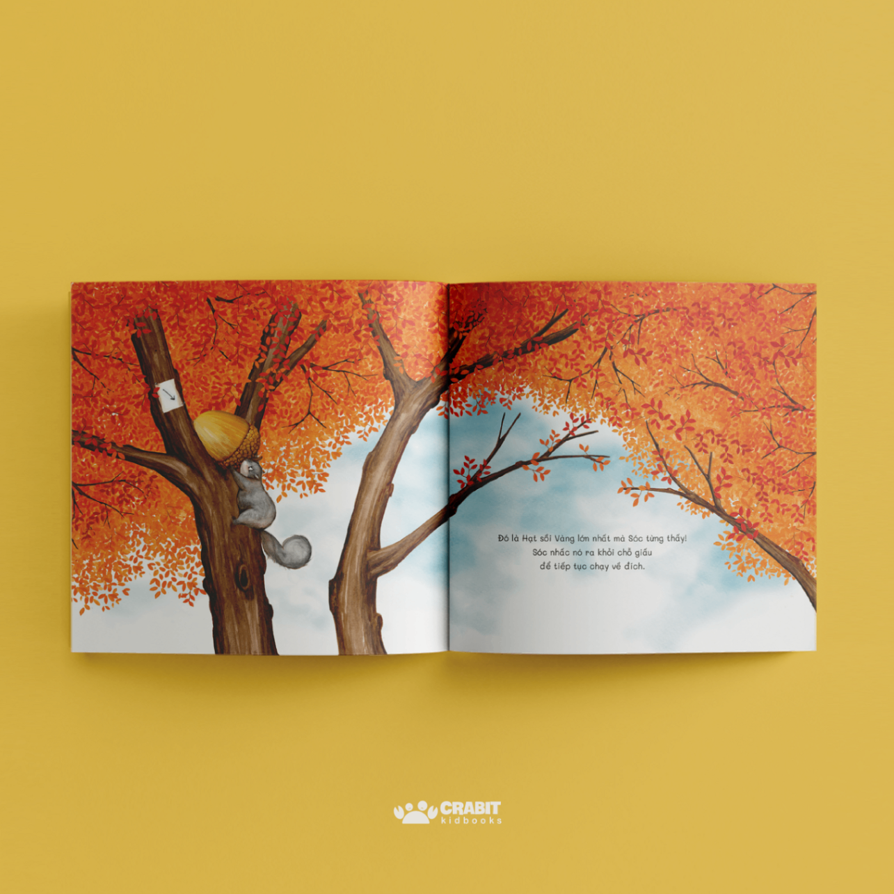 hạt sồi vàng - bìa cứng - Ảnh 5