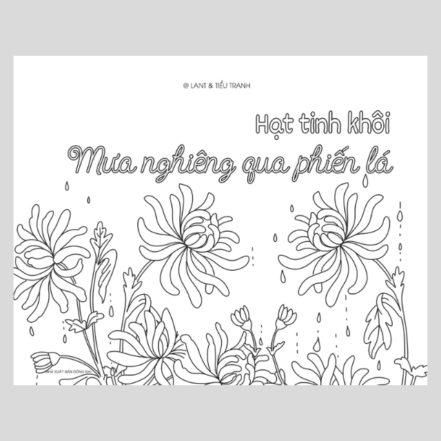 hạt tinh khôi - mưa nghiêng qua phiến lá - Ảnh 5