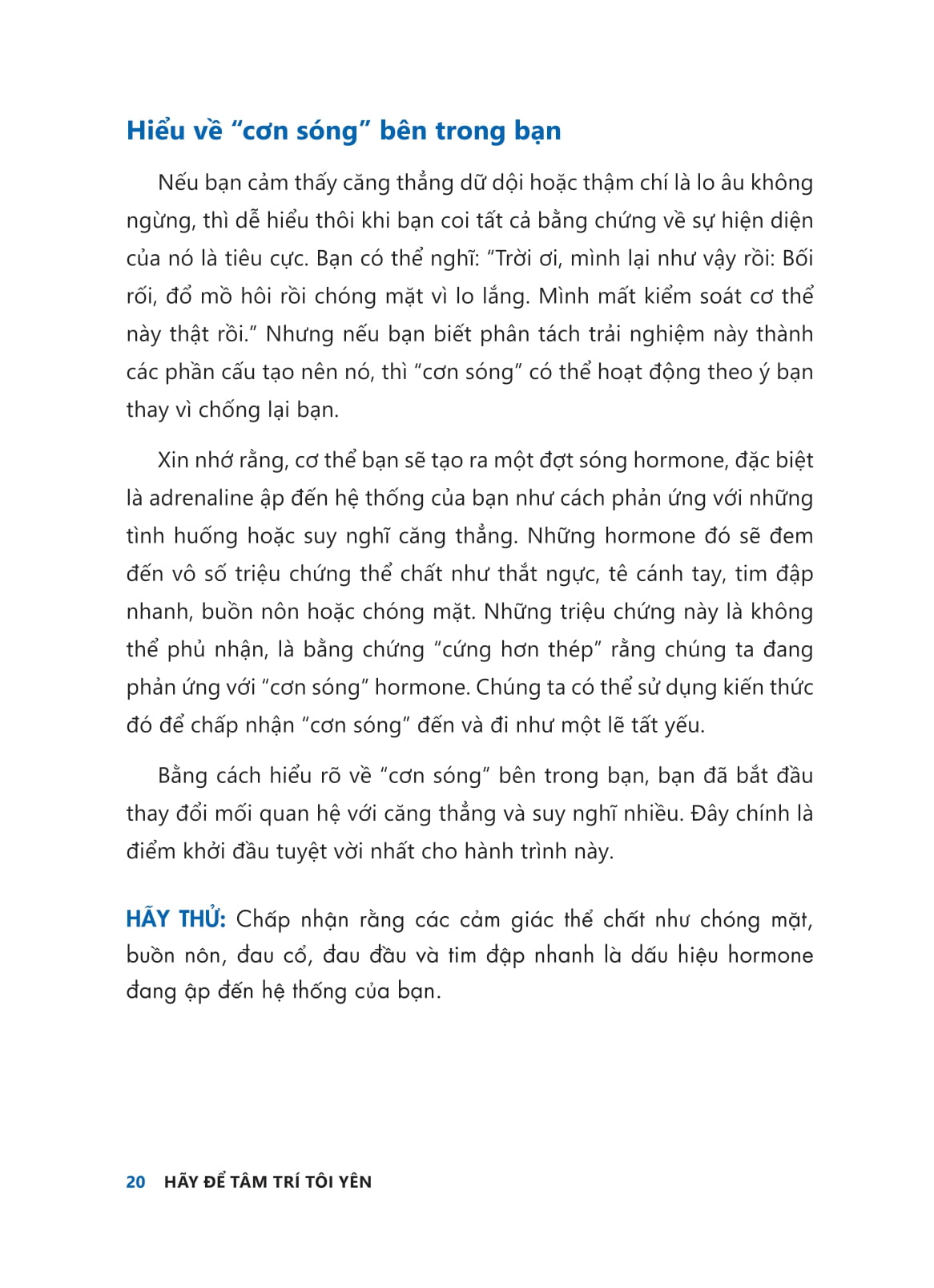 hãy để tâm trí tôi yên - hướng dẫn loại bỏ “suy nghĩ tiêu cực” cho người dễ lo âu - Ảnh 12