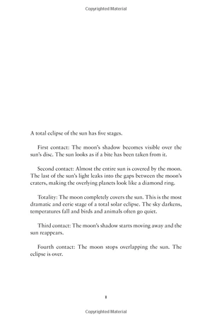 he said/she said: a novel - Ảnh 3