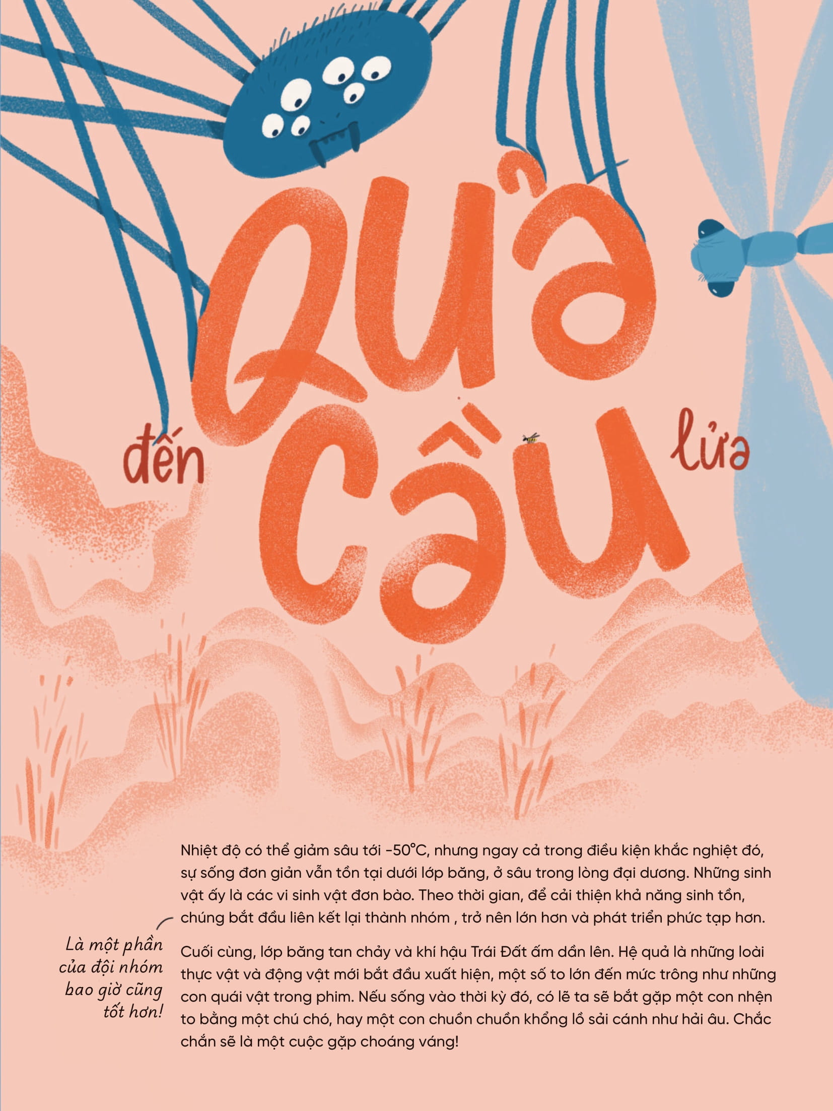 Hệ Sinh Thái Trên Trái Đất - Khí Hậu - Ảnh 5