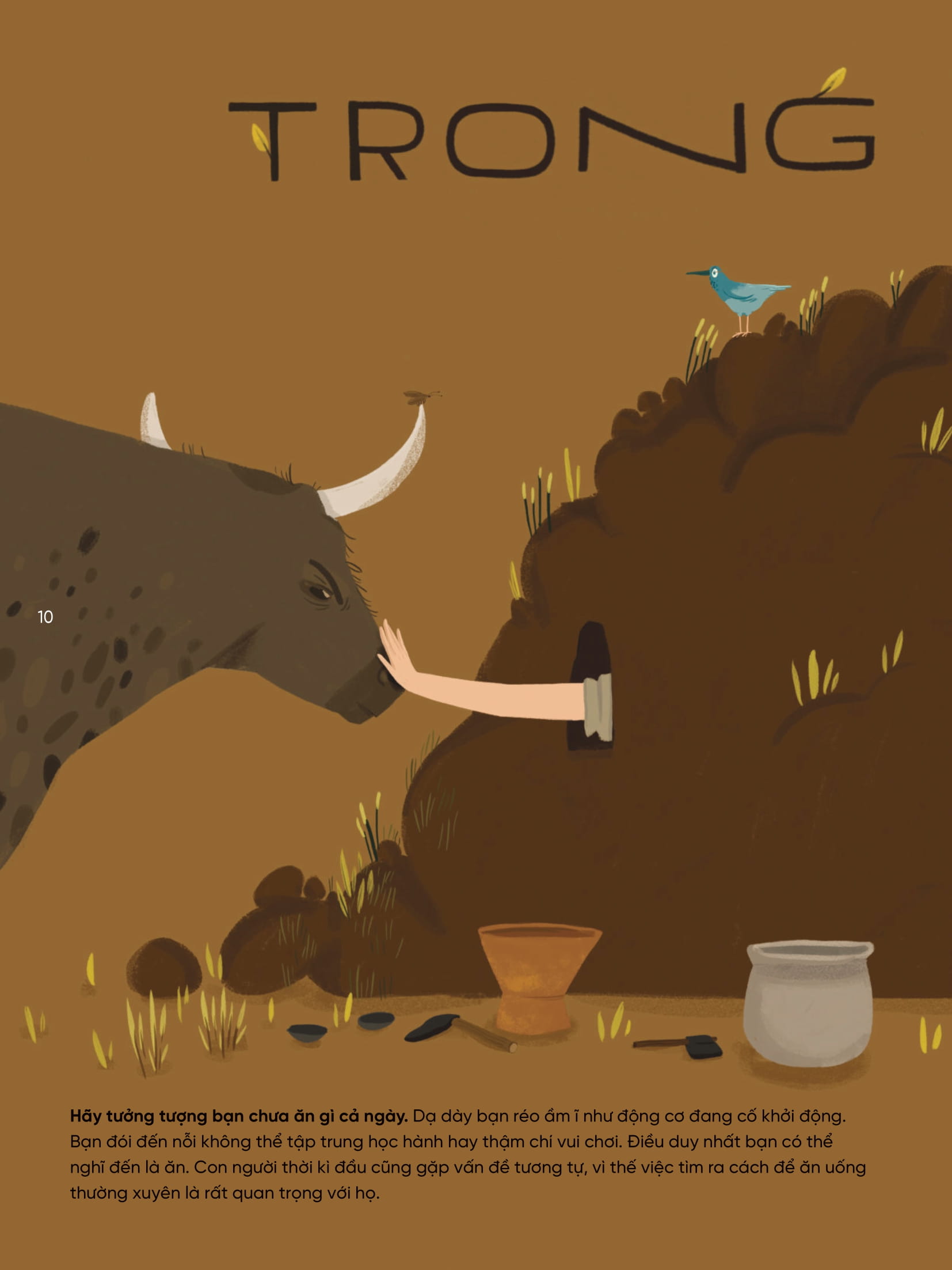 Hệ Sinh Thái Trên Trái Đất - Thực Phẩm - Ảnh 5