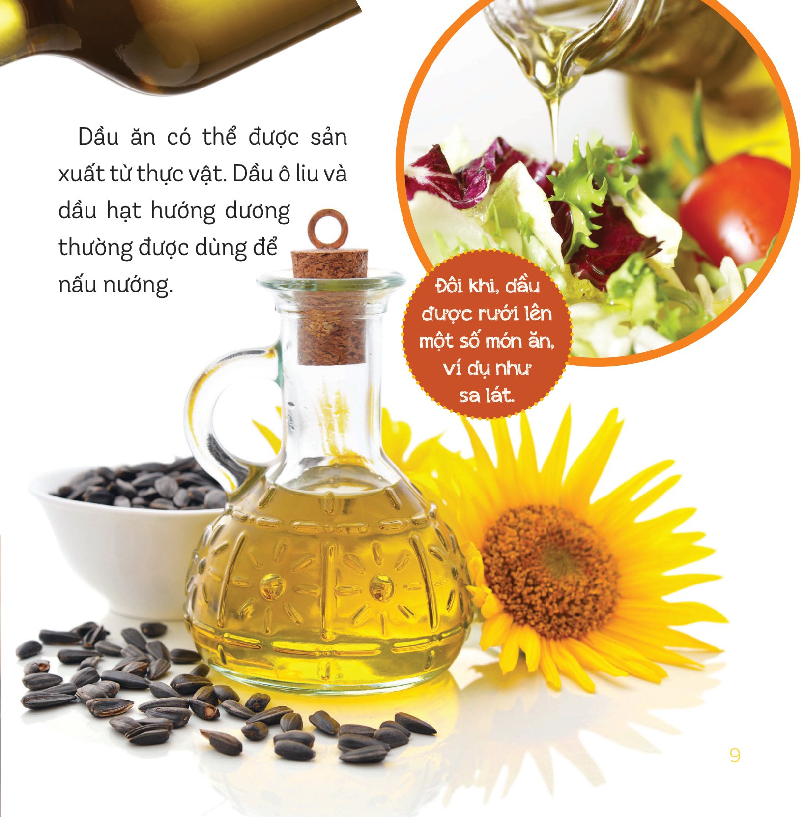 healthy eating - ăn uống lành mạnh - đường và chất béo - Ảnh 8