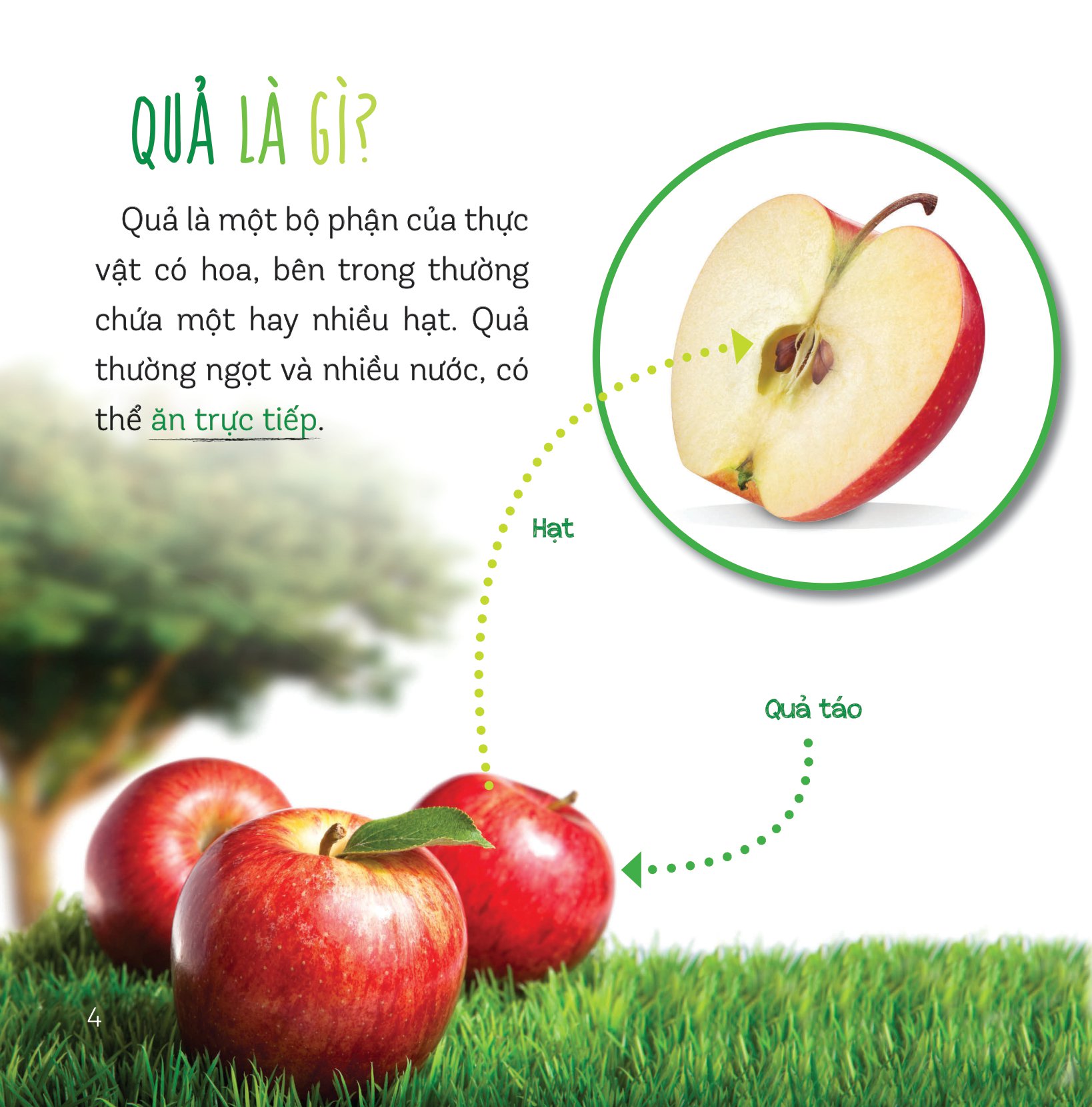 healthy eating - ăn uống lành mạnh - hoa quả - Ảnh 2