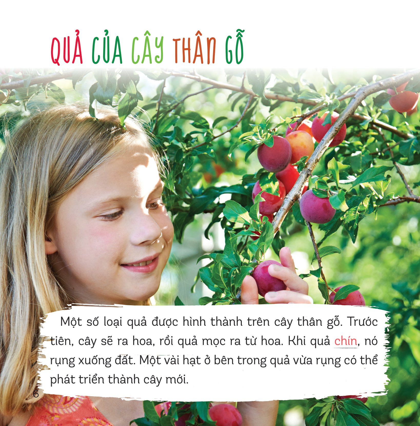 healthy eating - ăn uống lành mạnh - hoa quả - Ảnh 4