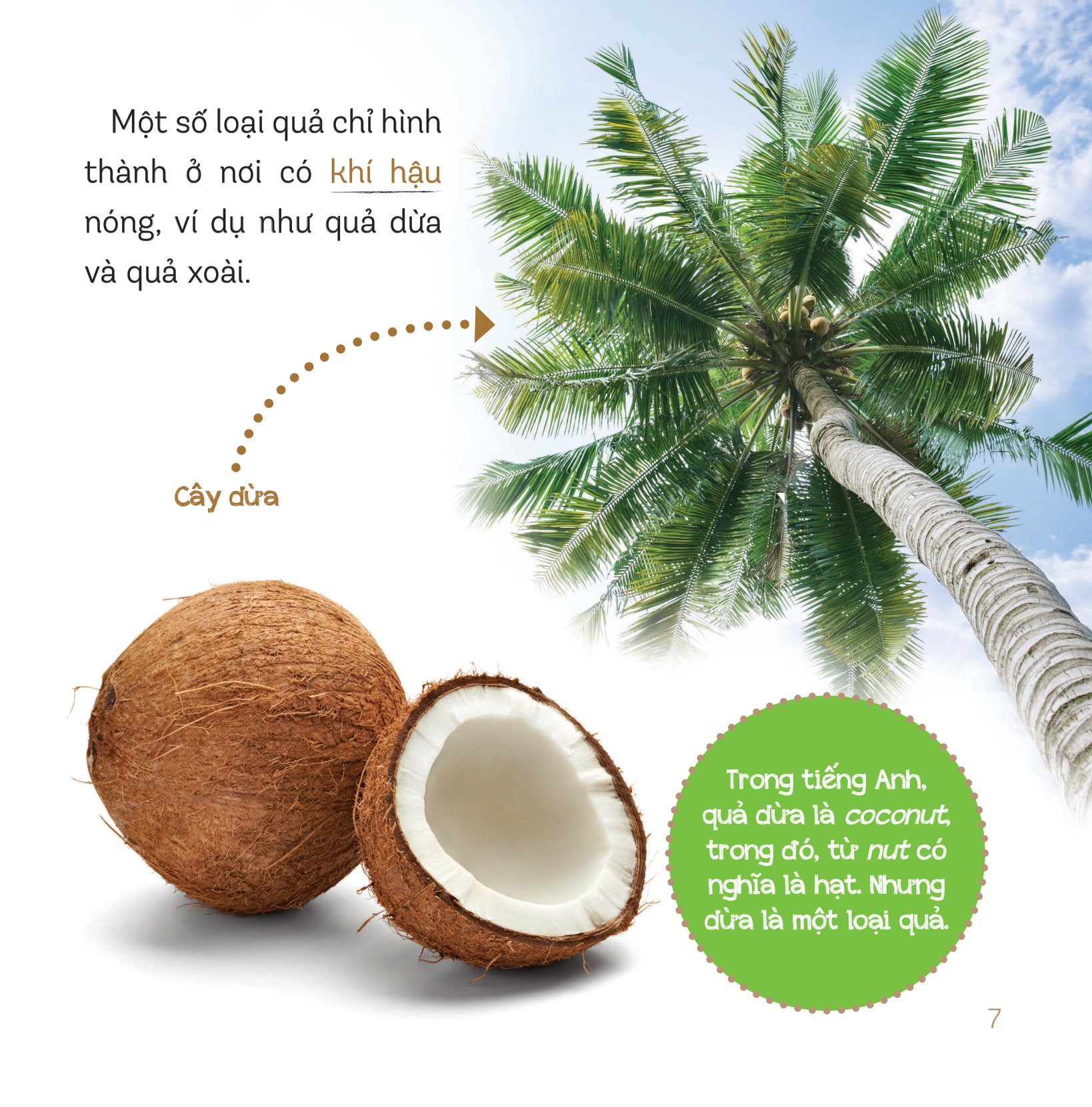 healthy eating - ăn uống lành mạnh - hoa quả - Ảnh 5