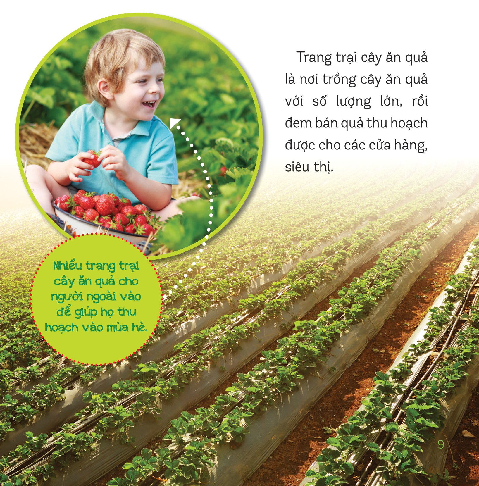 healthy eating - ăn uống lành mạnh - hoa quả - Ảnh 7