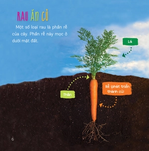 healthy eating - ăn uống lành mạnh - rau củ - Ảnh 4