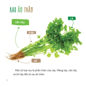healthy eating - ăn uống lành mạnh - rau củ - Ảnh 6