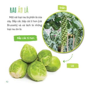 healthy eating - ăn uống lành mạnh - rau củ - Ảnh 8