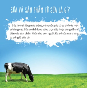 healthy eating - ăn uống lành mạnh - sữa và các sản phẩm từ sữa - Ảnh 2