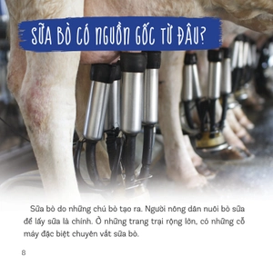 healthy eating - ăn uống lành mạnh - sữa và các sản phẩm từ sữa - Ảnh 6