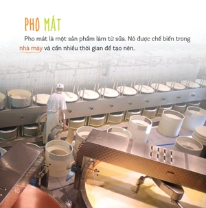 healthy eating - ăn uống lành mạnh - sữa và các sản phẩm từ sữa - Ảnh 8