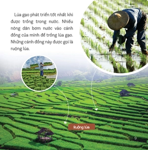 healthy eating - ăn uống lành mạnh - thực phẩm giàu tinh bột - Ảnh 7