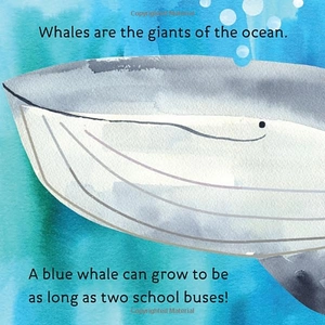 hello, world! ocean life - Ảnh 4