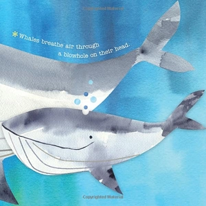 hello, world! ocean life - Ảnh 5