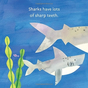 hello, world! ocean life - Ảnh 8