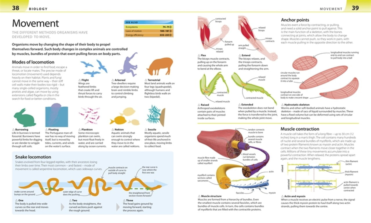 Help Your Kids With Science - Ảnh 4