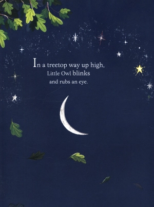 here comes the sun hb - Ảnh 4