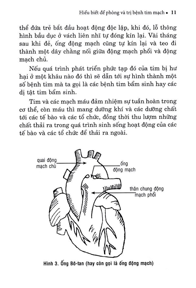 hiểu biết để phòng và trị bệnh tim mạch - Ảnh 10