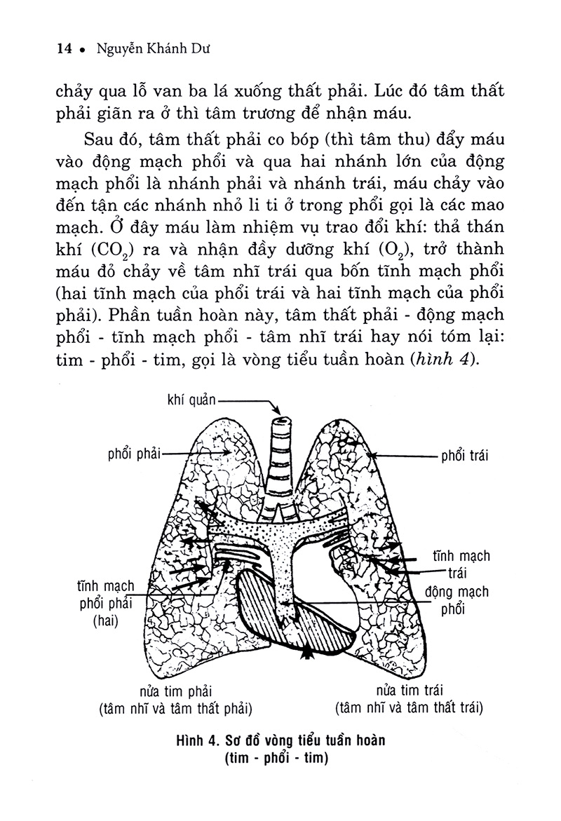 hiểu biết để phòng và trị bệnh tim mạch - Ảnh 13