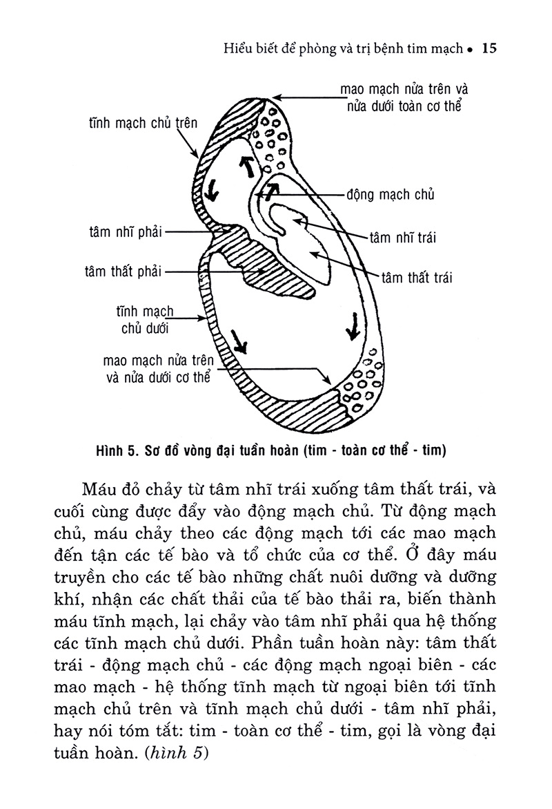 hiểu biết để phòng và trị bệnh tim mạch - Ảnh 14