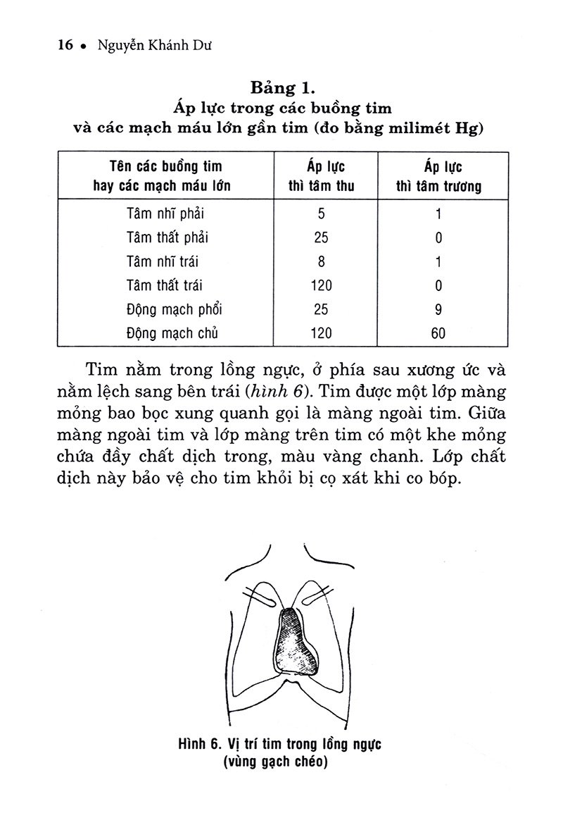 hiểu biết để phòng và trị bệnh tim mạch - Ảnh 15