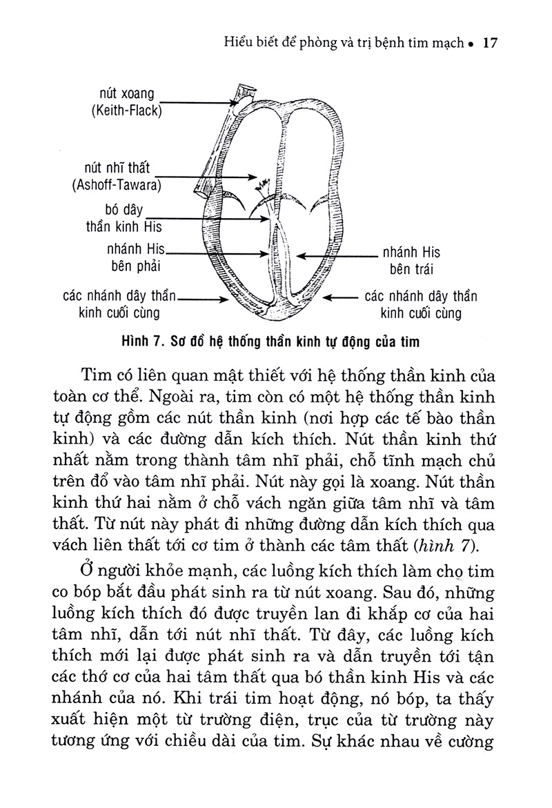 hiểu biết để phòng và trị bệnh tim mạch - Ảnh 16