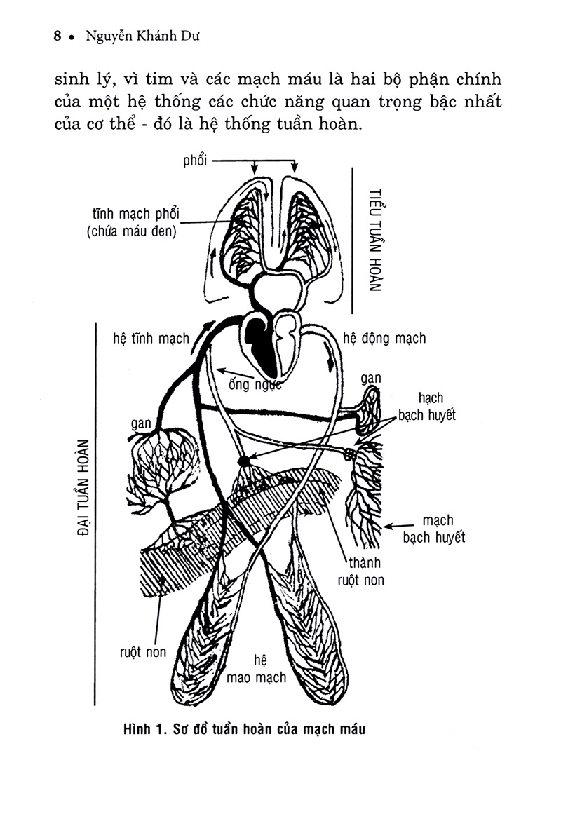 hiểu biết để phòng và trị bệnh tim mạch - Ảnh 7