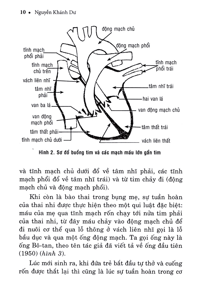hiểu biết để phòng và trị bệnh tim mạch - Ảnh 9