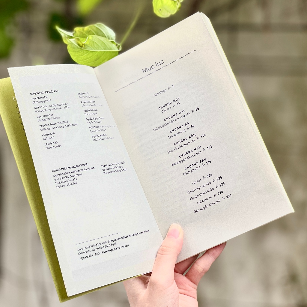 hiểu hết về trà - Ảnh 3