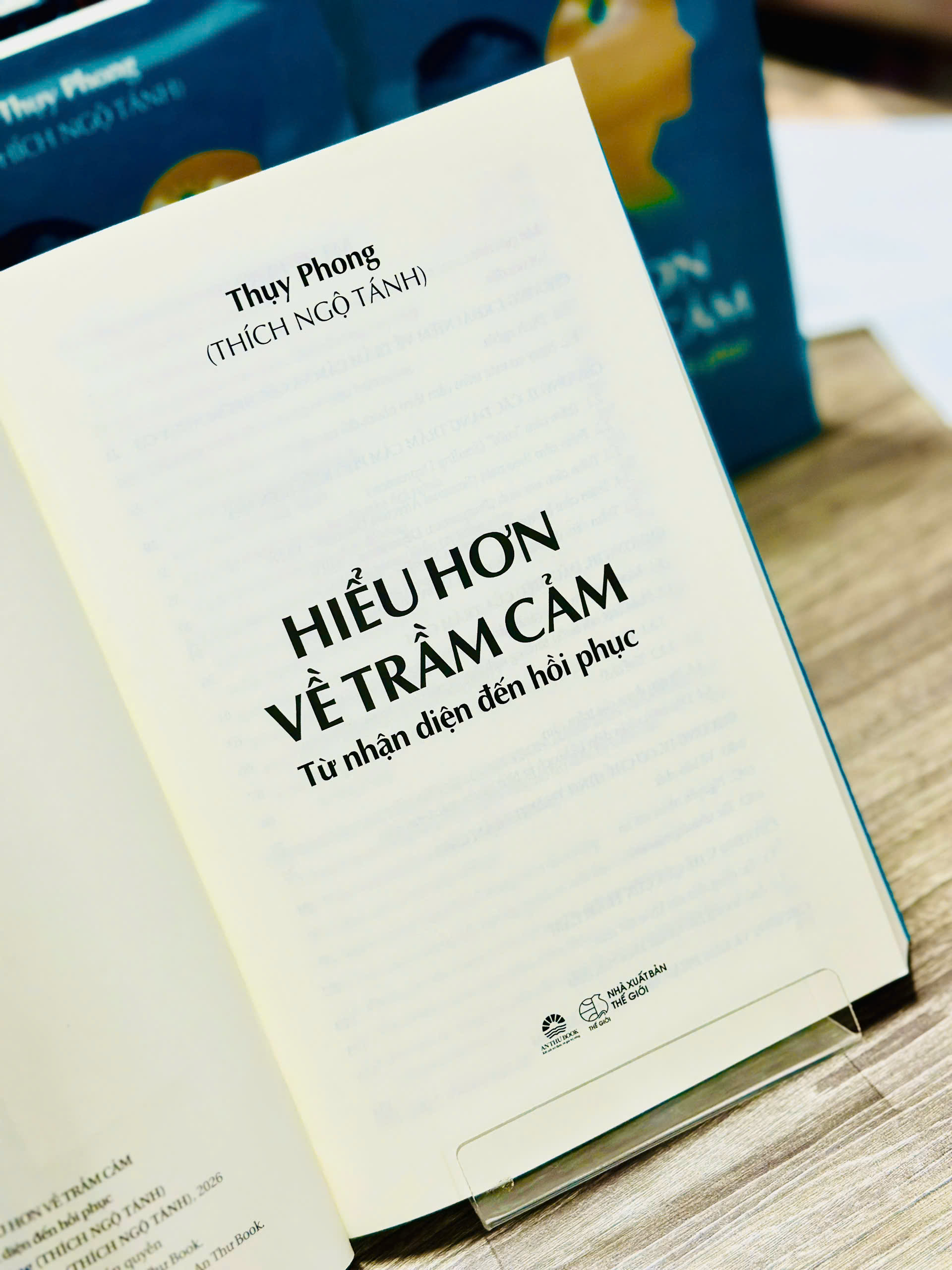Hiểu Hơn Về Trầm Cảm - Từ Nhận Diện Đến Hồi Phục - Ảnh 6