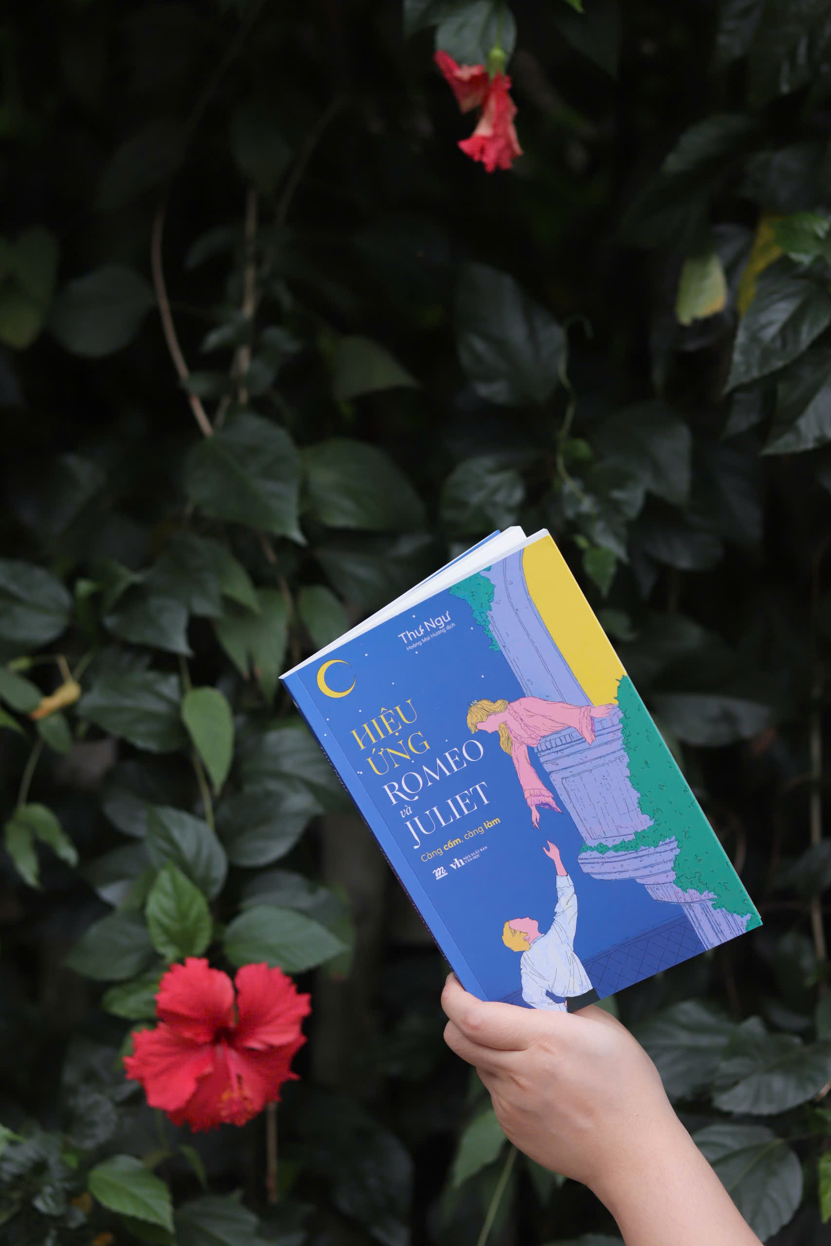 hiệu ứng romeo và juliet - Ảnh 3