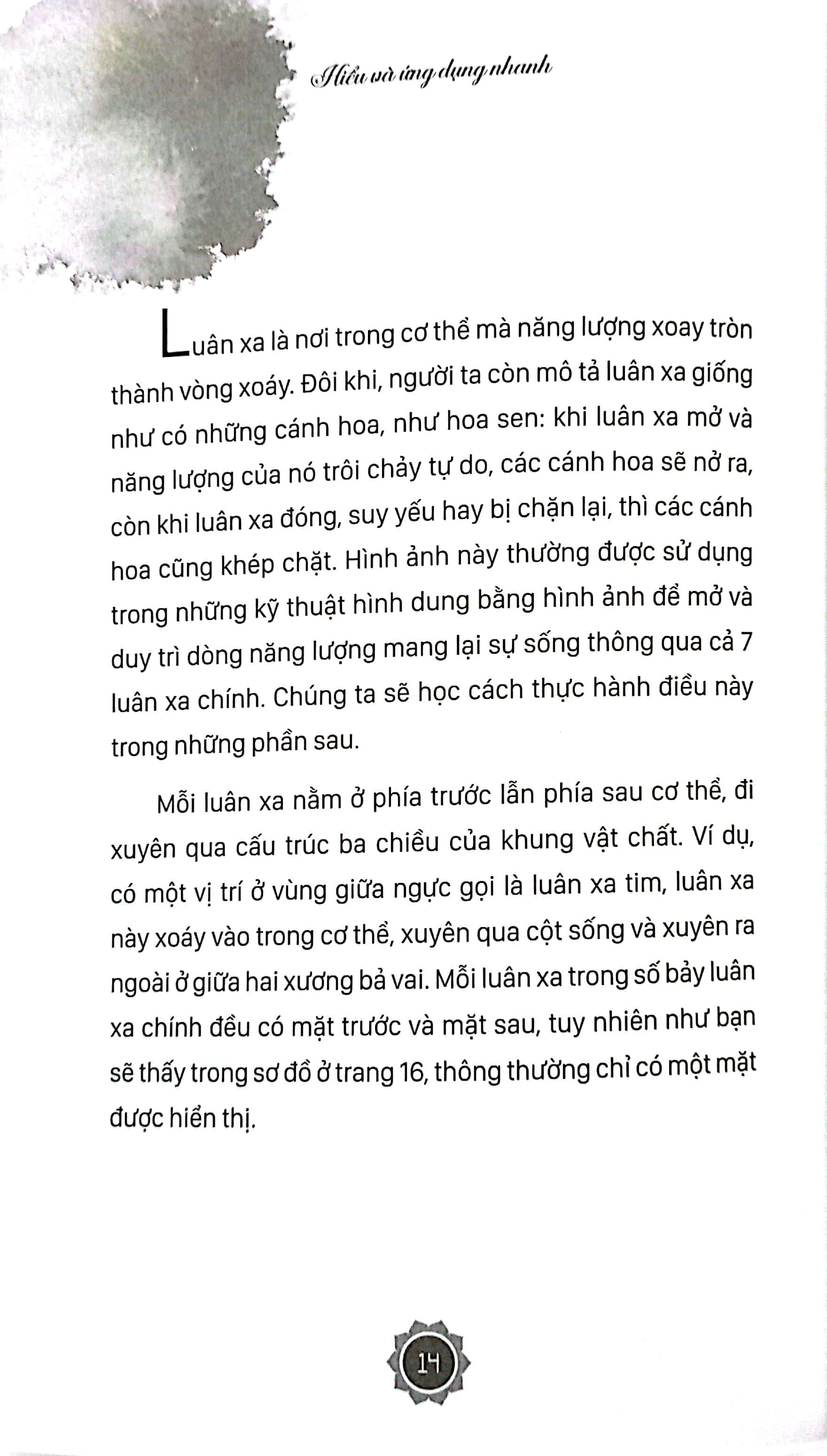 hiểu và ứng dụng nhanh - chữa lành bằng luân xa (tái bản 2024) - Ảnh 6