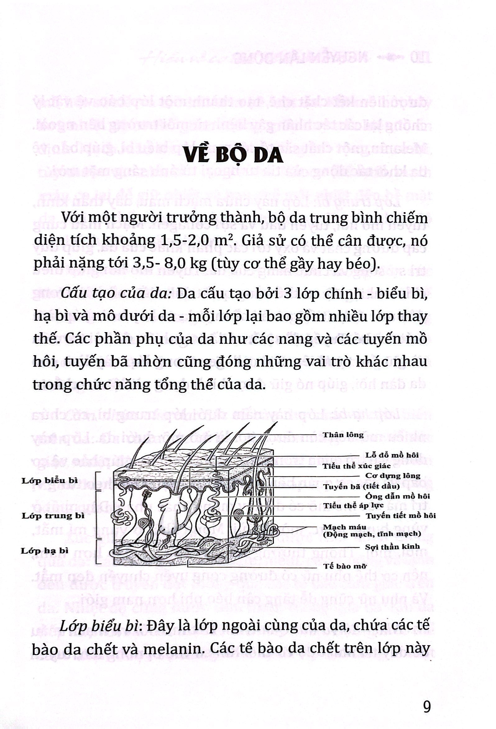 hiểu về cơ thể để khỏe mạnh - Ảnh 6