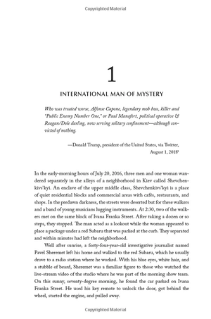 high crimes: the corruption, impunity, and impeachment of donald trump - Ảnh 7