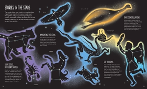 high: soar to new heights - Ảnh 11