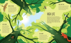 high: soar to new heights - Ảnh 3